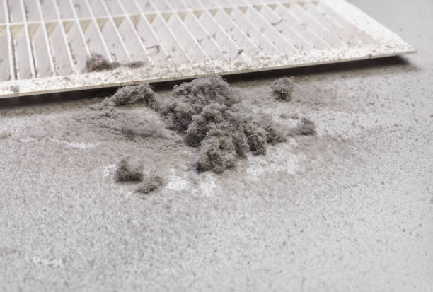 Best Dryer Vent Cleaning Services  in Vla Grove, IL