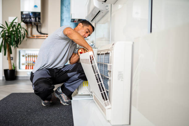 Best Air Duct Cleaning Near Me  in Vla Grove, IL