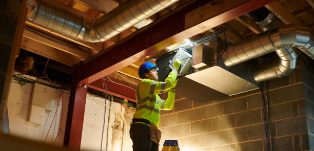 Best Residential Air Duct Cleaning  in Vla Grove, IL