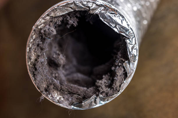 Best Best Air Duct Cleaning Company  in Vla Grove, IL