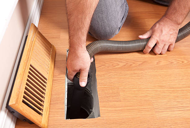 Best HVAC Maintenance and Cleaning  in Vla Grove, IL