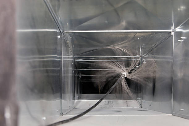 Best Duct Cleaning Specialists  in Vla Grove, IL