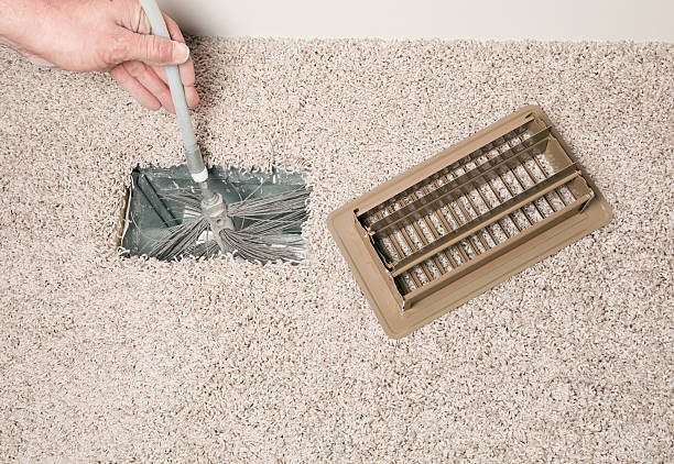 Best Dryer Vent Cleaning Services  in Vla Grove, IL