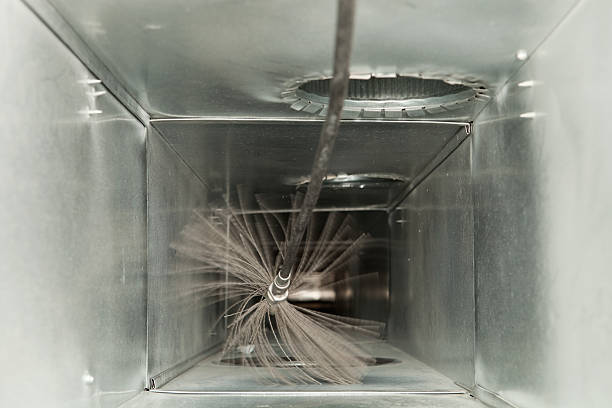 Best Professional Duct Cleaning Services  in Vla Grove, IL