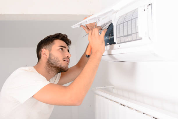 Best Commercial Air Duct Cleaning  in Vla Grove, IL