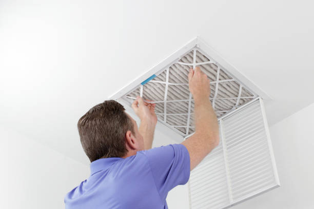 Best HVAC Duct Inspection Services  in Vla Grove, IL